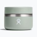 Hydro Flask Insulated Food Jar 355 ml agave