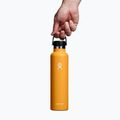 Hydro Flask Standard Flex Cap thermal bottle 710 ml fossil 3