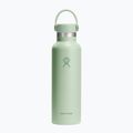 Hydro Flask Standard Flex 620 ml aloe thermal bottle