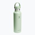 Hydro Flask Standard Flex 620 ml aloe thermal bottle 2