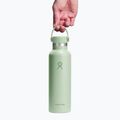 Hydro Flask Standard Flex 620 ml aloe thermal bottle 3