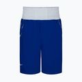 Men's Nike Boxing shorts royal