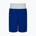 Men's Nike Boxing shorts royal 3