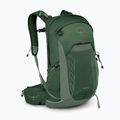 Osprey Talon 22 l green canopy / pine leaf men's hiking backpack 2