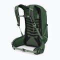 Osprey Talon 22 l green canopy / pine leaf men's hiking backpack 4