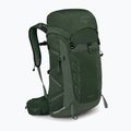 Men's hiking backpack Osprey Talon 33 l green canopy/ pine leaf