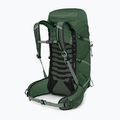 Men's hiking backpack Osprey Talon 33 l green canopy/ pine leaf 2
