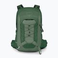 Men's hiking backpack Osprey Talon 11 l green canopy/ pine leaf