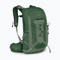 Men's hiking backpack Osprey Talon 11 l green canopy/ pine leaf 2