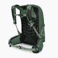 Men's hiking backpack Osprey Talon 11 l green canopy/ pine leaf 3