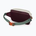 Waist bag Osprey Transporter Waist Pack 3 l mystery white/moody burgundy 3