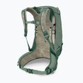 Men's hiking backpack Osprey Stratos 24 l pine leaf 4