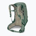 Men's hiking backpack Osprey Stratos 34 l pine leaf 4