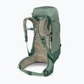 Men's hiking backpack Osprey Stratos 44 l pine leaf 4
