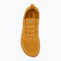 Men's barefoot shoes Xero Shoes Nexus Knit gold 5