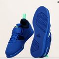 adidas Powerlift 5 weightlifting shoes blue GY8922 11
