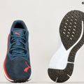 Men's running shoes PUMA Aviator Profoam Sky Better navy blue 376616 03 14