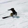 Völkl Peregrine 82 downhill ski + Lowride 13 FR binding 12