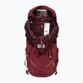 Women's trekking backpack Lowe Alpine AirZone Trek ND43:50 43 + 7 l raspberry 4