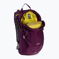 Lowe Alpine AirZone Active 18 l DJ hiking backpack purple FTF-19-GP-18 9