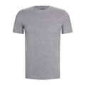 Men's T-shirt FILA FU5002 grey