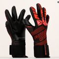 Football Masters Fenix children's goalkeeper gloves red 1181-1 7