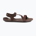Men's barefoot sandals Xero Shoes Z-Trek brown 9
