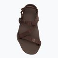Men's barefoot sandals Xero Shoes Z-Trek brown 5