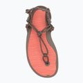 Women's barefoot sandals Xero Shoes Aqua Cloud moel/sunset coral 5