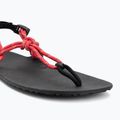 Women's barefoot sandals Xero Shoes Genesis raspberry 7