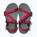 Barefoot Children's Xero Shoes Z-Trail charcoal/red pepper sandals 5