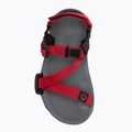 Barefoot Children's Xero Shoes Z-Trail charcoal/red pepper sandals 5