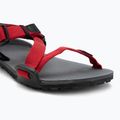 Barefoot Children's Xero Shoes Z-Trail charcoal/red pepper sandals 7