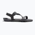 Men's barefoot sandals Xero Shoes Z-Trail EV steel gray/asphalt