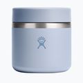 Hydro Flask Insulated Food Jar 590 ml surf