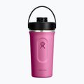 Hydro Flask Insulated Shaker 710 ml reef