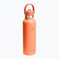 Thermal bottle Hydro Flask Standard Flex Straw 620 ml nectar 2