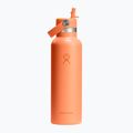 Thermal bottle Hydro Flask Standard Flex Straw 620 ml nectar