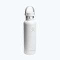 Thermal bottle Hydro Flask Standard Flex 621 ml white 2