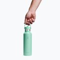 Thermal bottle Hydro Flask Standard Flex 621 ml marmaid green 3