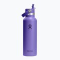 Thermal bottle Hydro Flask Standard Flex 621 ml utopia purple