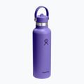 Thermal bottle Hydro Flask Standard Flex 621 ml utopia purple 2