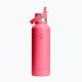 Thermal bottle Hydro Flask Standard Flex 621 ml popstar pink
