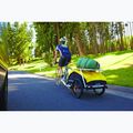 Burley Nomad Cargo Rack trailer trunk 6
