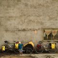 Burley Bee Double bicycle trailer yellow BU-946206 15
