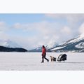Trailer ski set Burley Ski Kit 3