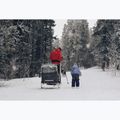 Trailer ski set Burley Ski Kit 4