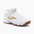 Men's volleyball shoes Joma V.Block 2002 white V.BLOKW-2002