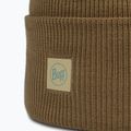 Winter beanie BUFF Crossknit ginkgo 2