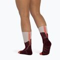 Socks BUFF Midweight Crew wine 5